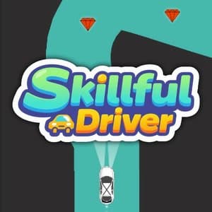 Skillful Driver
